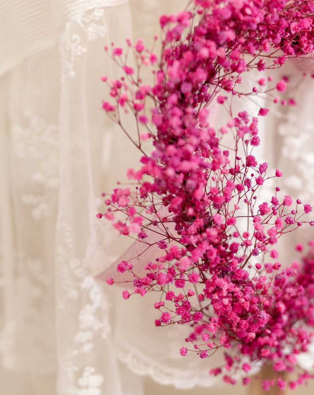 Paniculata rosa para San Valentín