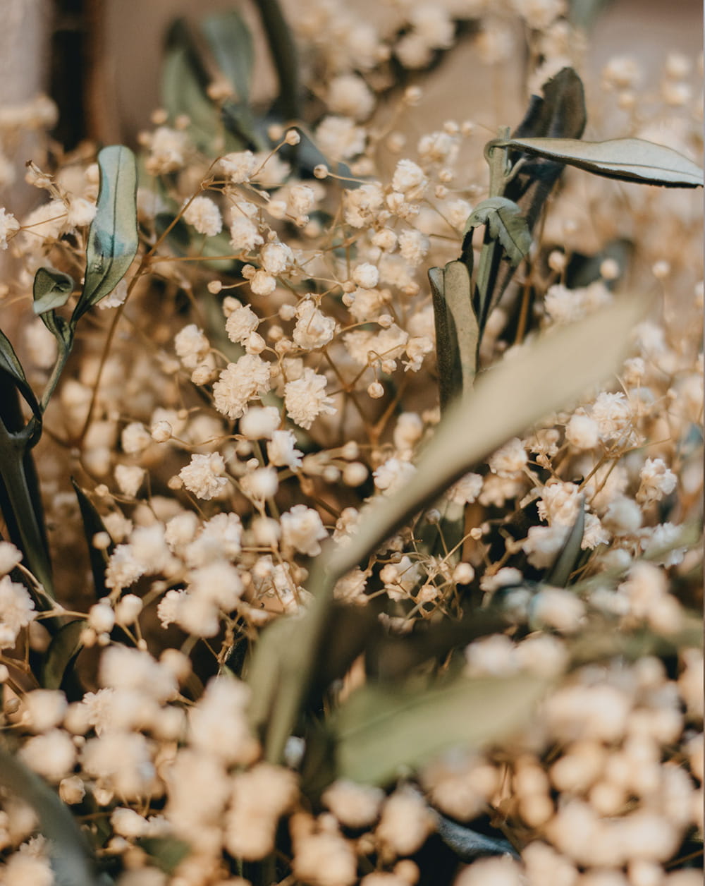 cesta flores preservadas de palma de paniculata y olivo