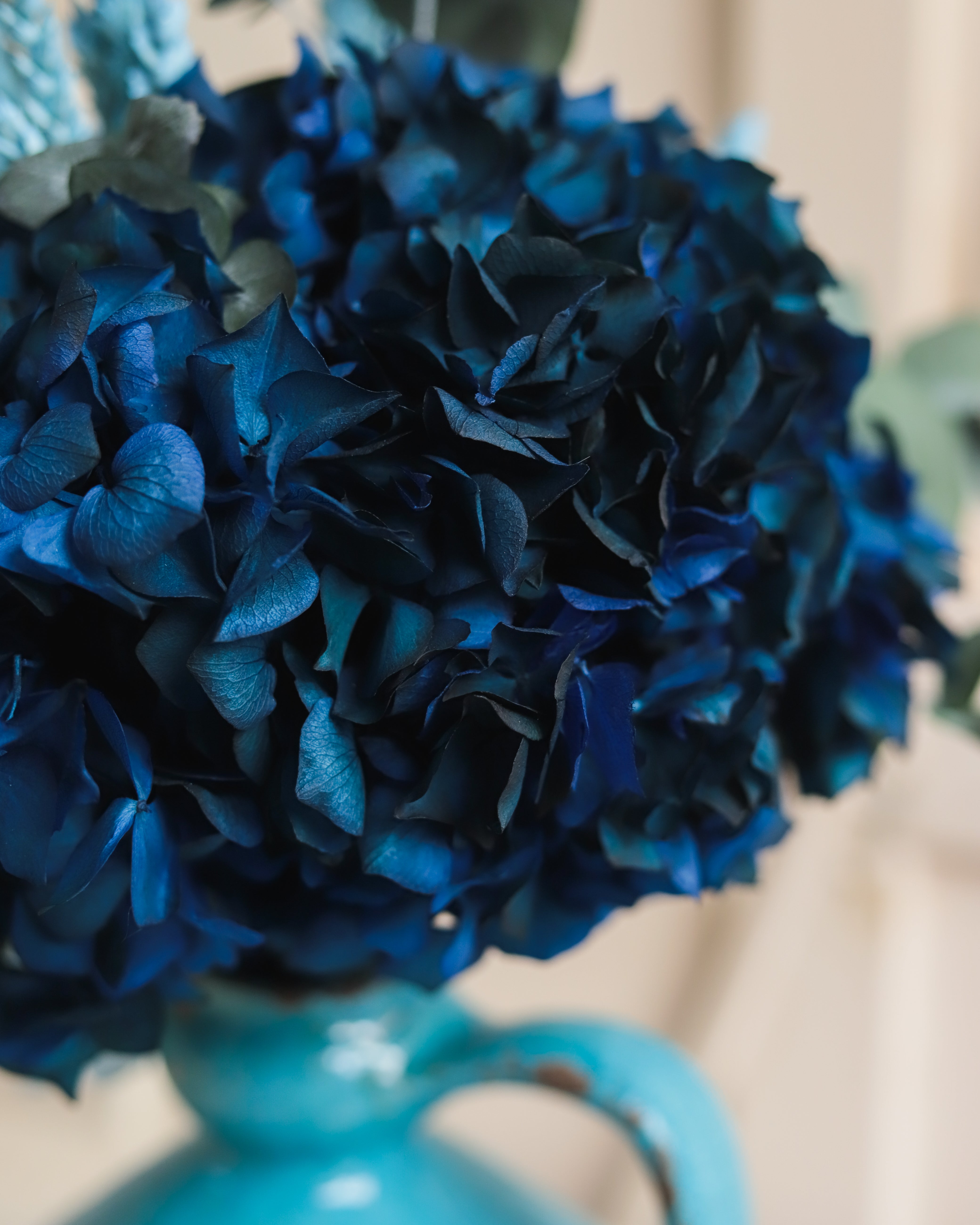 hortensia azul