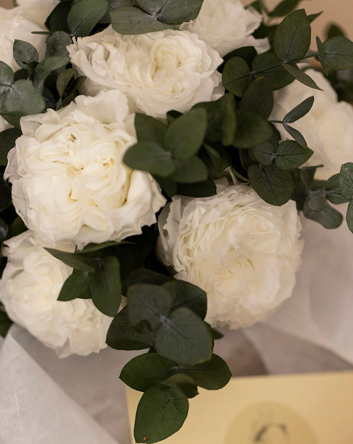 Ramo novia rosas de jardín blancas y eucalipto