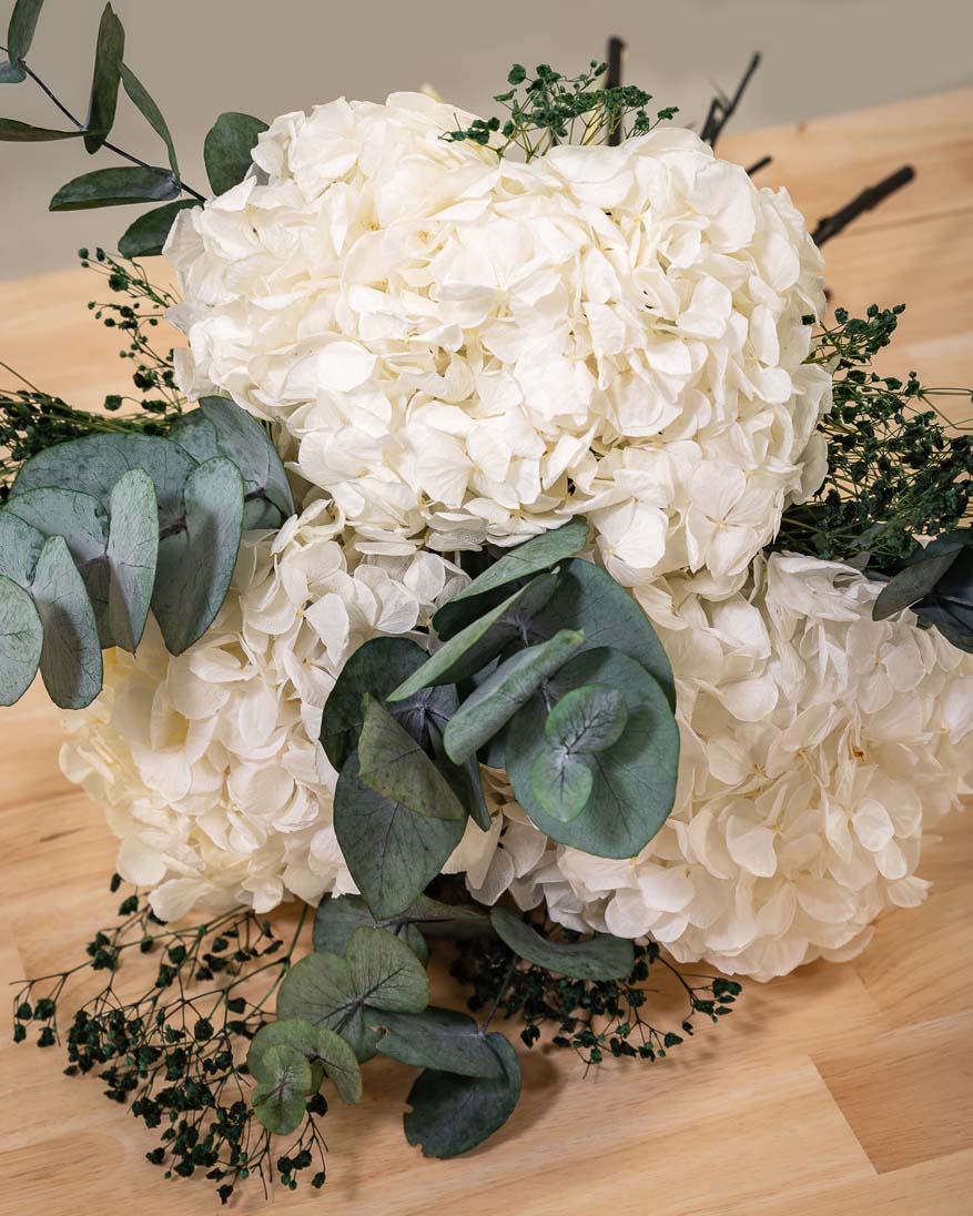 hortensias con tallo preservadas